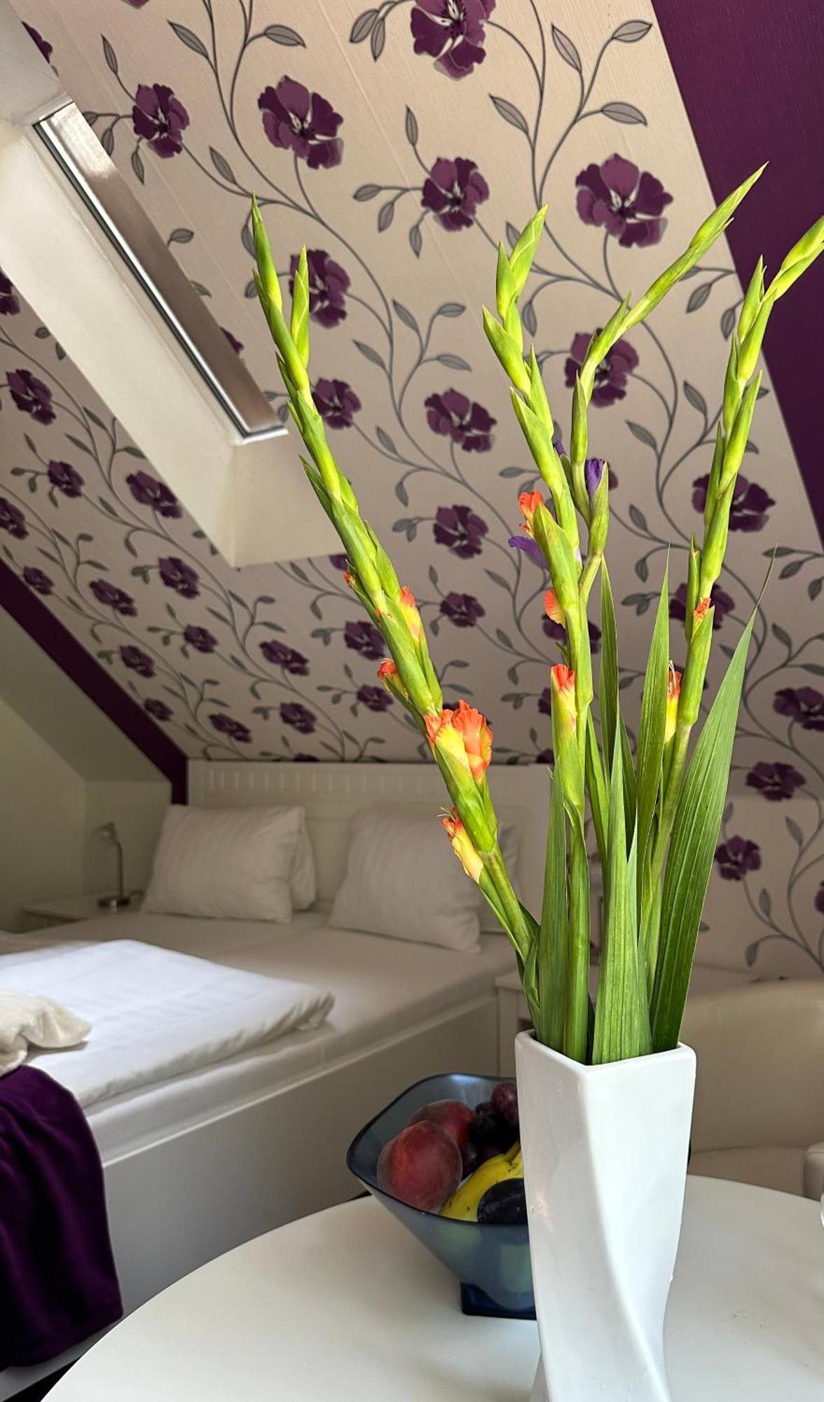 Wellness penzion Harmonie Rohanov Prachatice Exterior foto